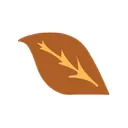 Logo de JFC Tobacco Corp. / Tabacalera Hoja Boricua